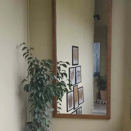 Apartment Elia